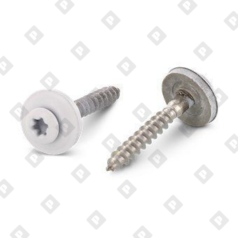 Art. 9087 A2 4,5X25 TX20 - RAL 9010 - №1