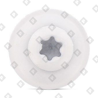 Art. 9087 A2 4,5X100 TX20 - RAL 9010 - №3